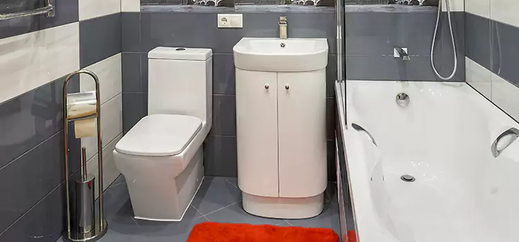 Hansgrohe Shaving Mirror Randallstown